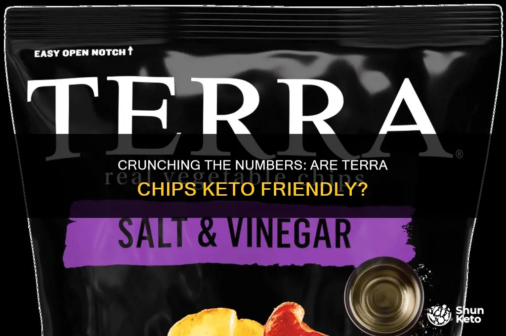 are terra chips keto friendly