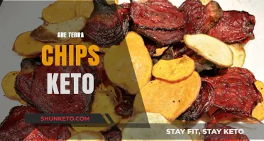 Are Terra Chips Keto-Friendly? A Crunchy Snack Analysis