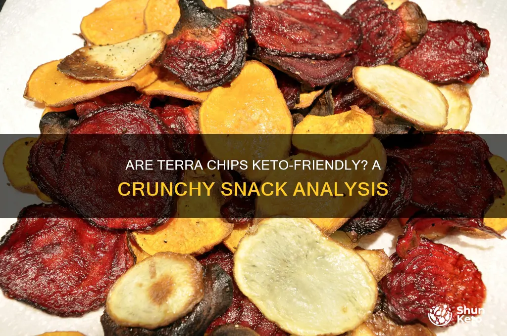 are terra chips keto