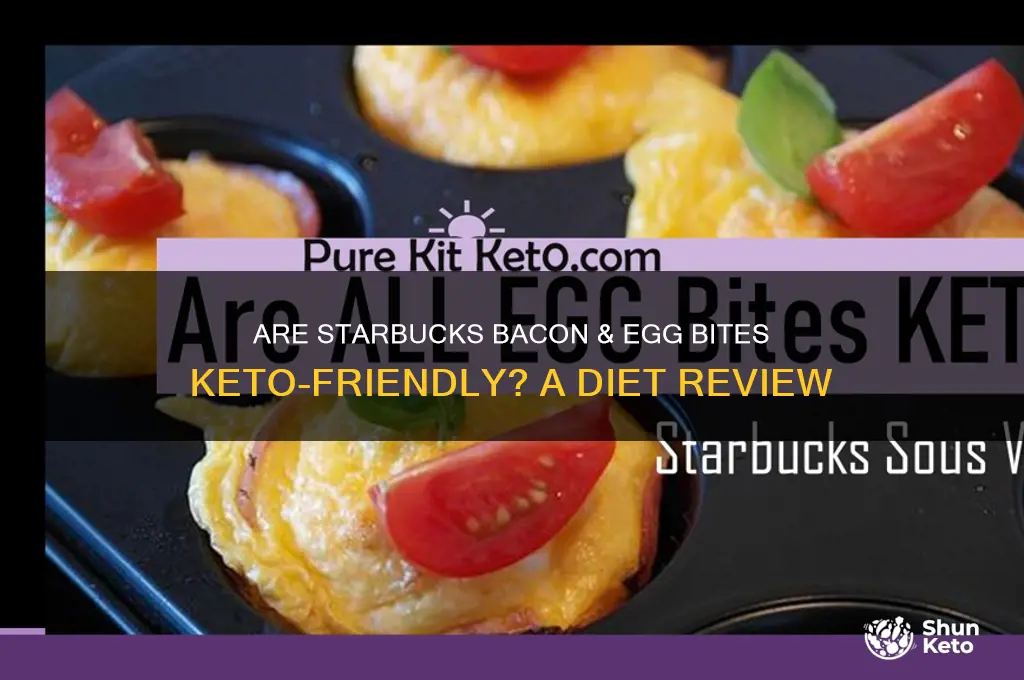 are the bacon egg bites at starbucks keto