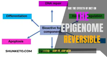 Epigenetic Diet: Reversing the Effects on Our Epigenome