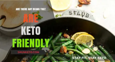 Exploring Keto-Friendly Beans: A Guide to Low-Carb Legumes