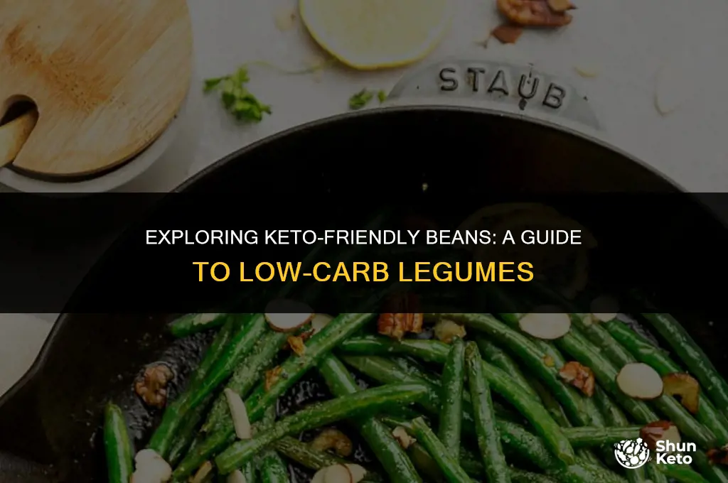 are there any beans that are keto friendly