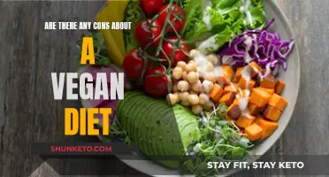 Vegan Diets: Any Downsides to This Lifestyle Choice?