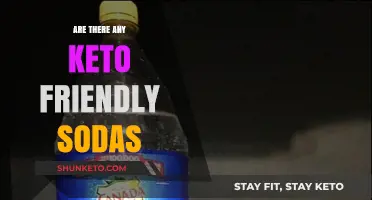 Sipping on Keto: Unveiling the Best Low-Carb Soda Options