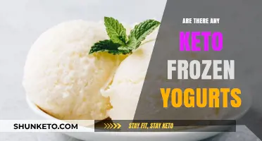 Keto-Friendly Frozen Yogurt Options: A Low-Carb Dessert Guide