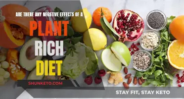 Plant-Rich Diets: Any Negative Health Effects?