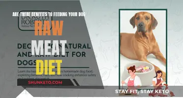 Raw Meat Diet: Healthy Choice for Your Dog?