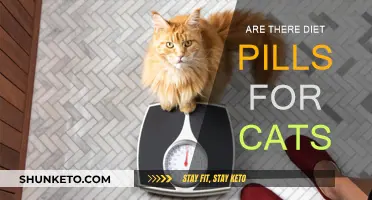 Cat Diet Pills: Are They Safe?