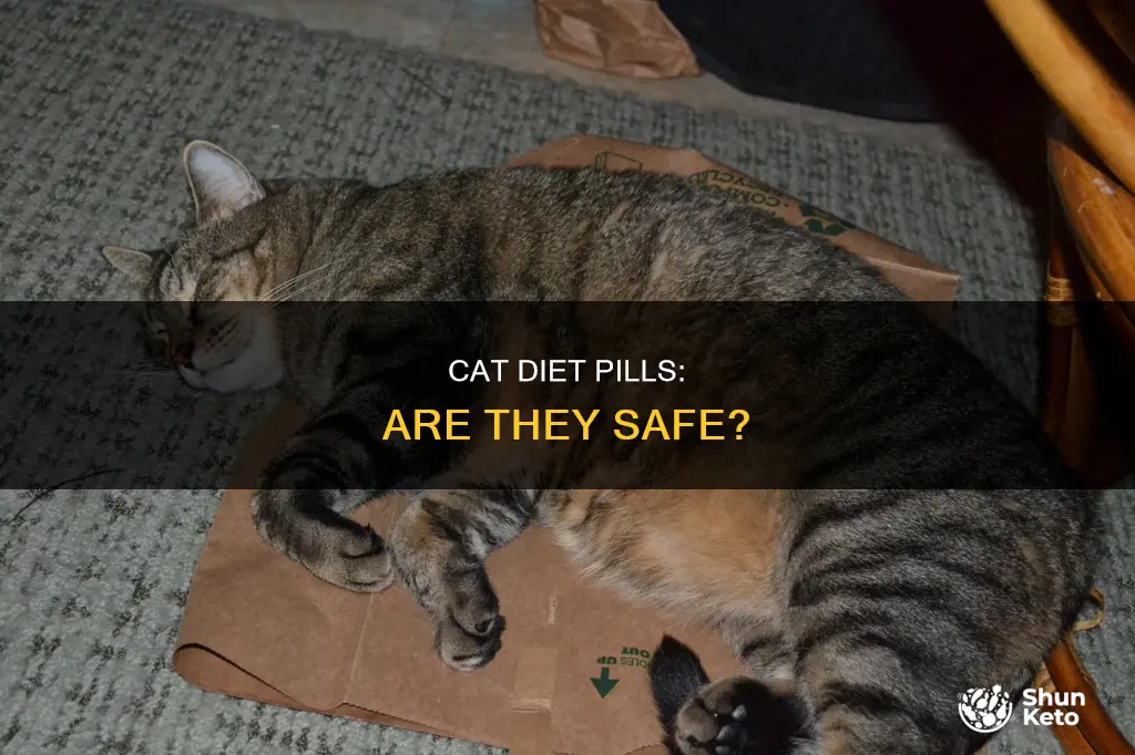 are there diet pills for cats