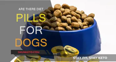 Dog Diet Pills: Safe or Not?