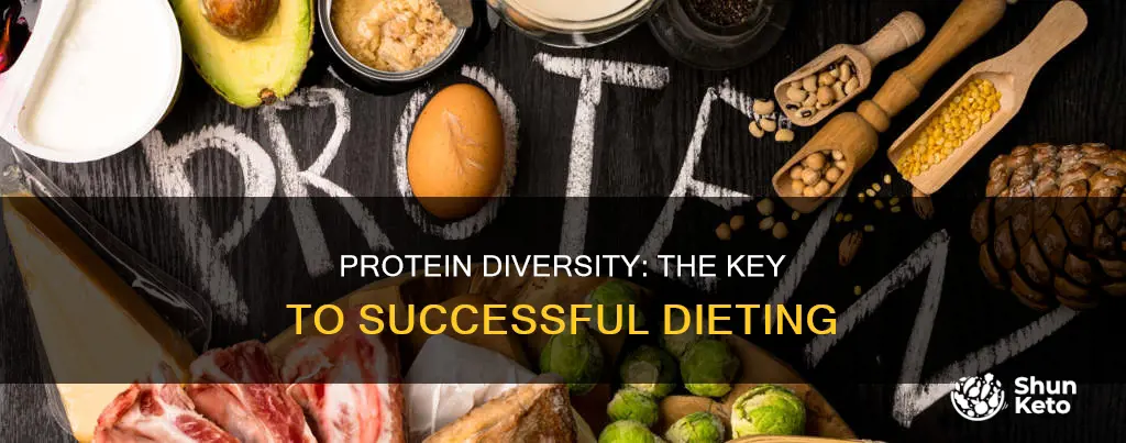 are there different kinds of protiens in dieting