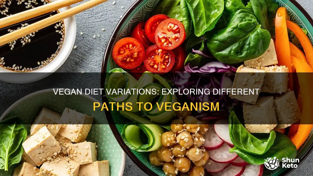 are there different types of vegan diets