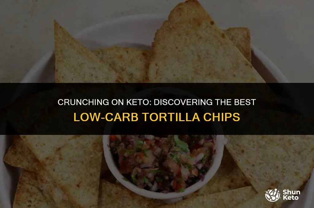 are there keto friendly tortilla chips