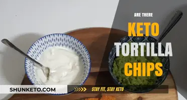 Crunchy Keto Delight: Are There Low-Carb Tortilla Chips Available?