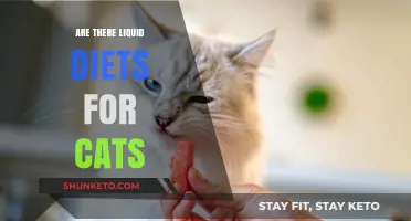 Liquid Diets for Cats: What You Need to Know