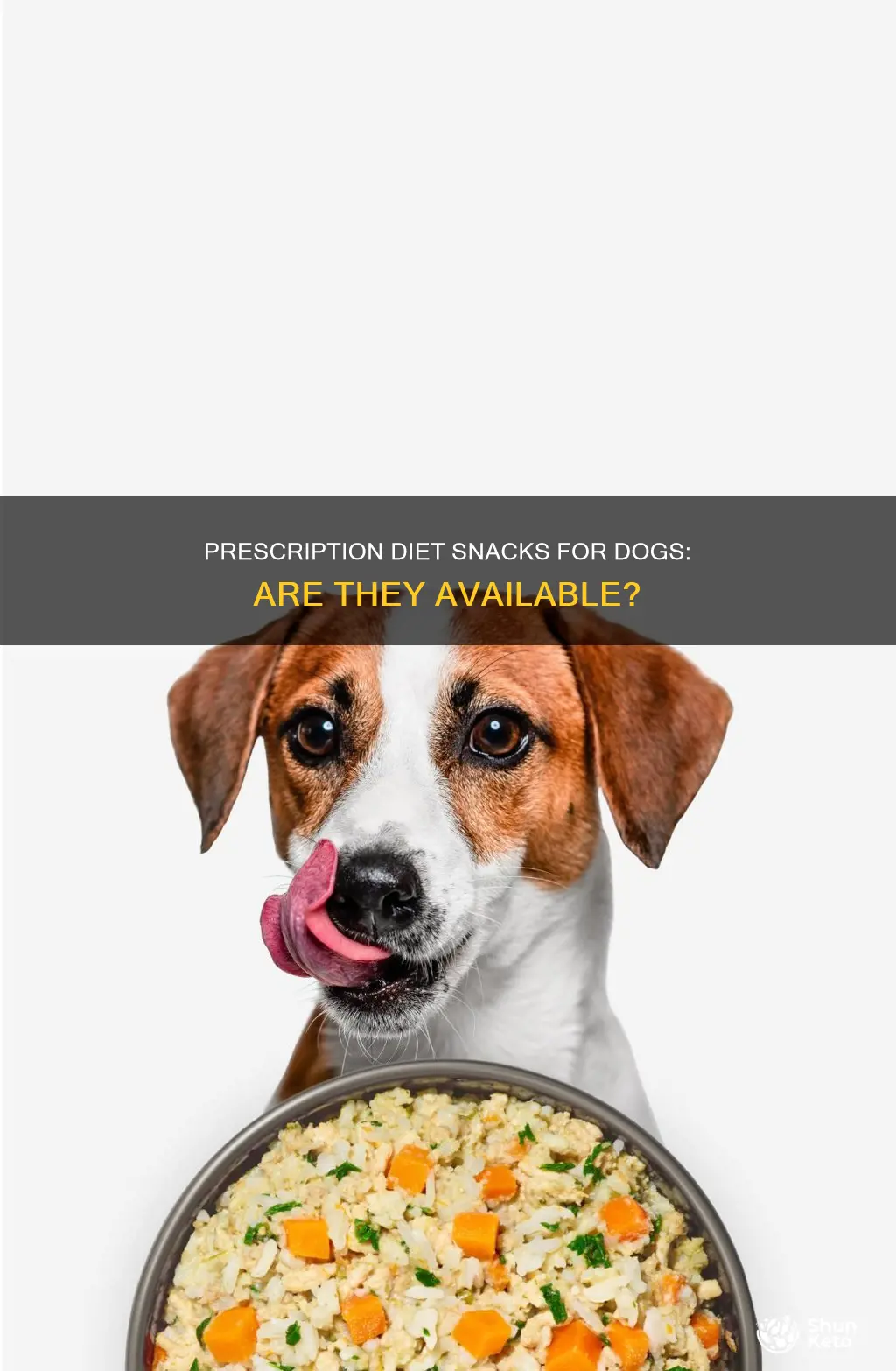 are there prescription diet snacks for dogs
