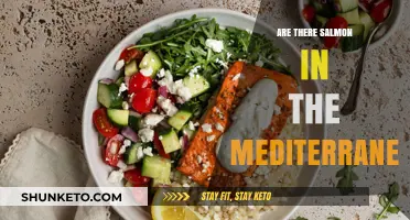 Salmon in the Mediterranean: An Unexpected Visitor?