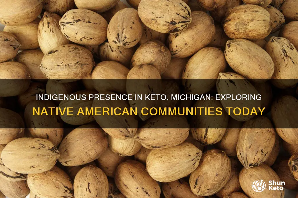 are there still indians that live in my keto michigan