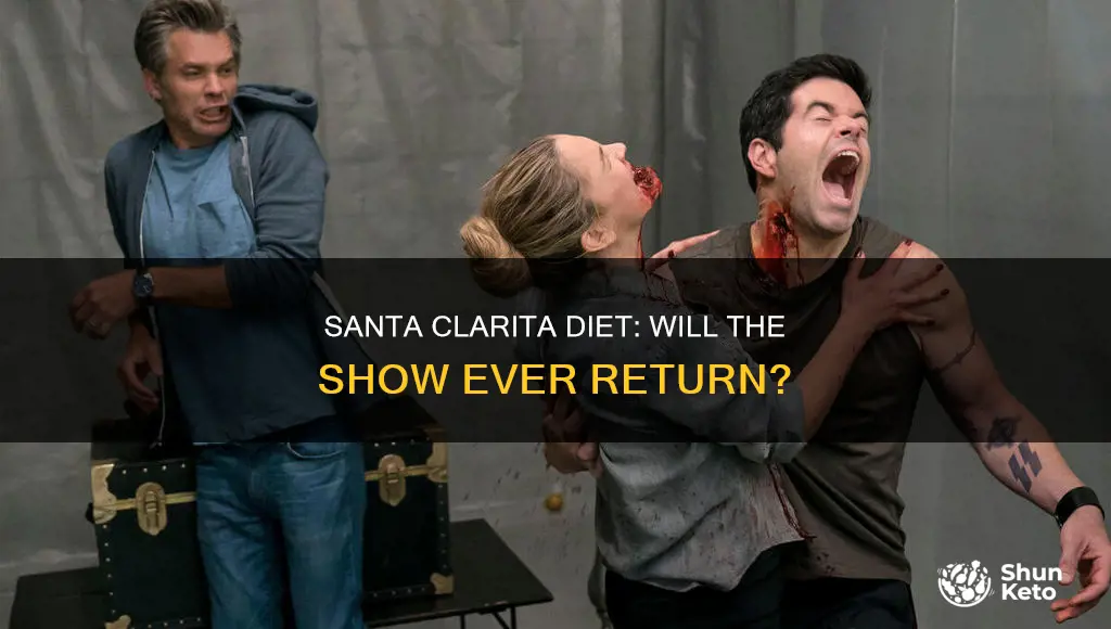 are they going to ever continue santa clarita diet