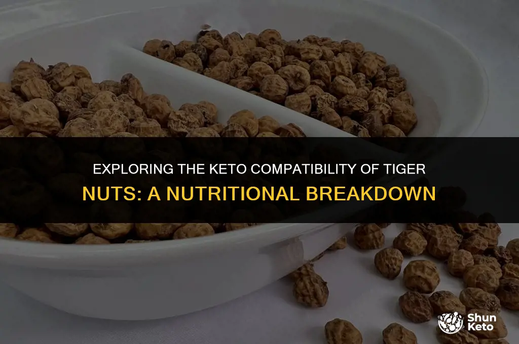 are tiger nuts keto friendly