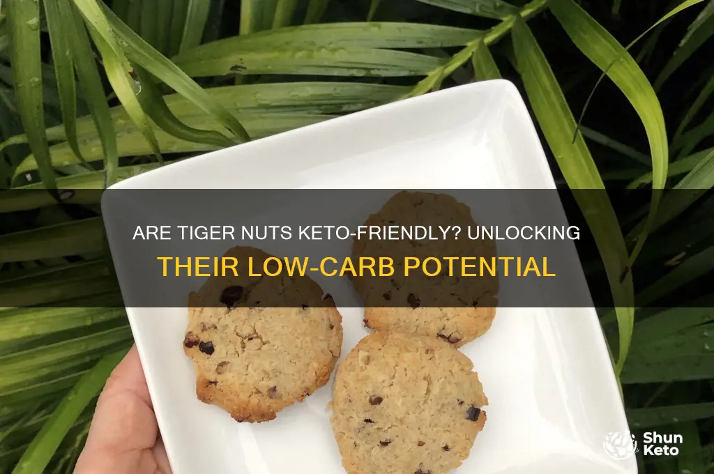 are tiger nuts keto
