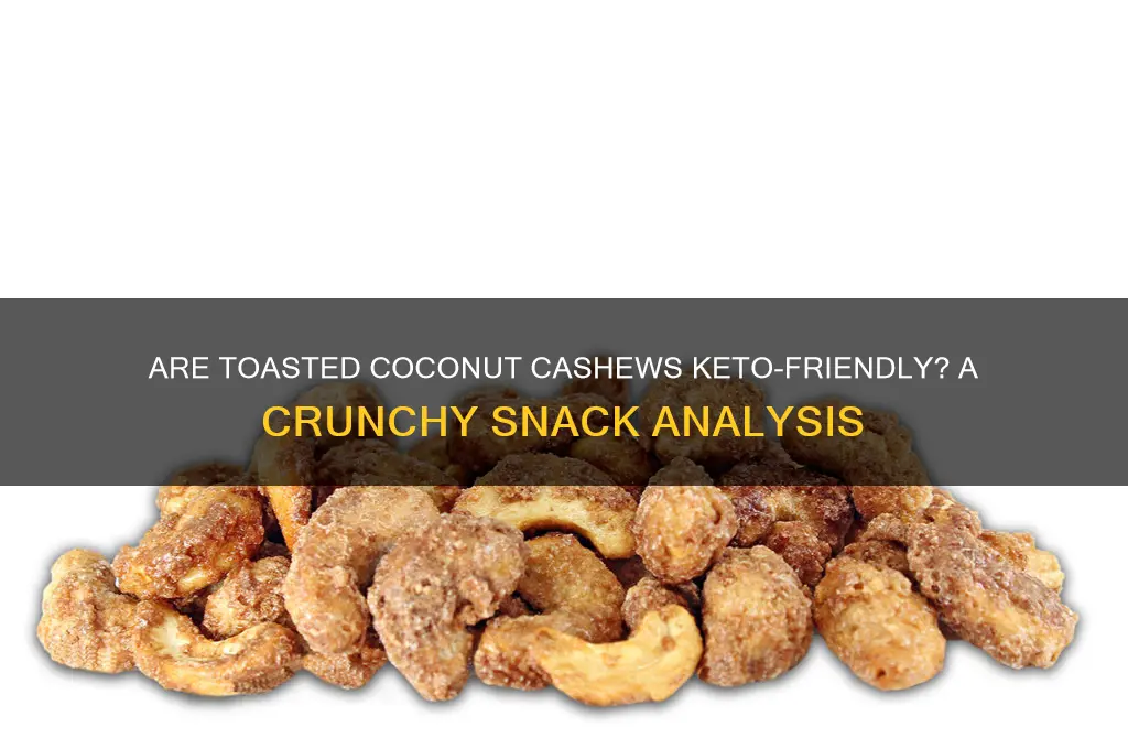 are toasted coconut cashews keto