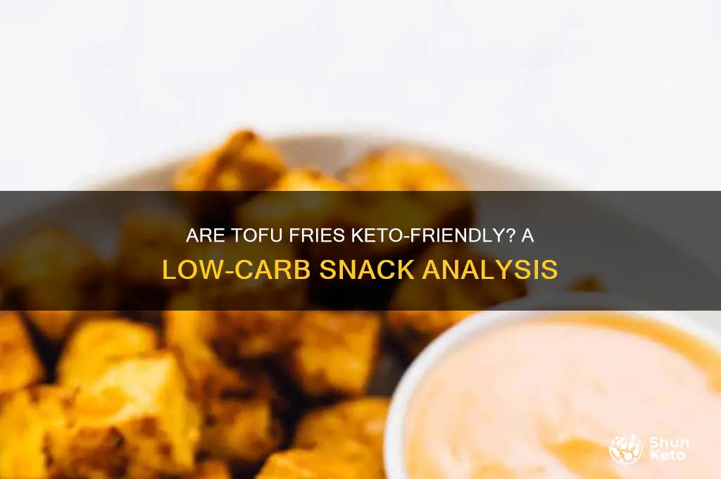 are tofu fries keto