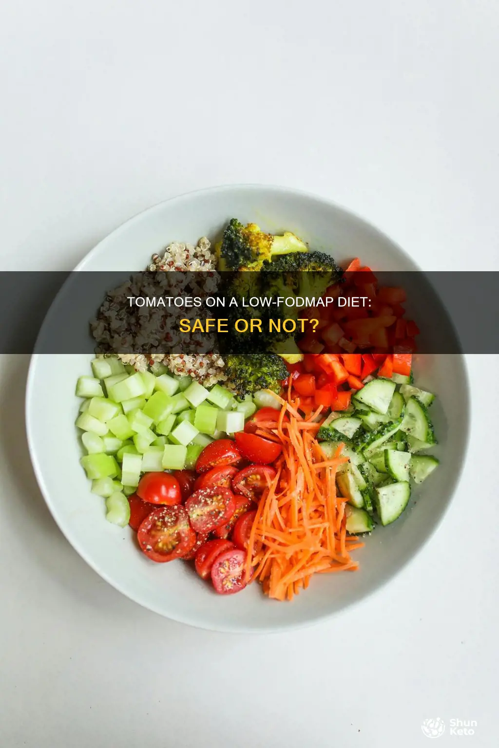 are tomatoes ok on fodmap diet