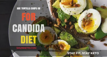 Candida Diet: Are Tortilla Chips Safe to Eat?