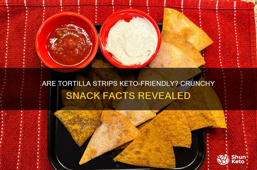 are tortilla strips keto