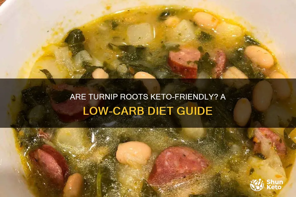 are turnip roots keto