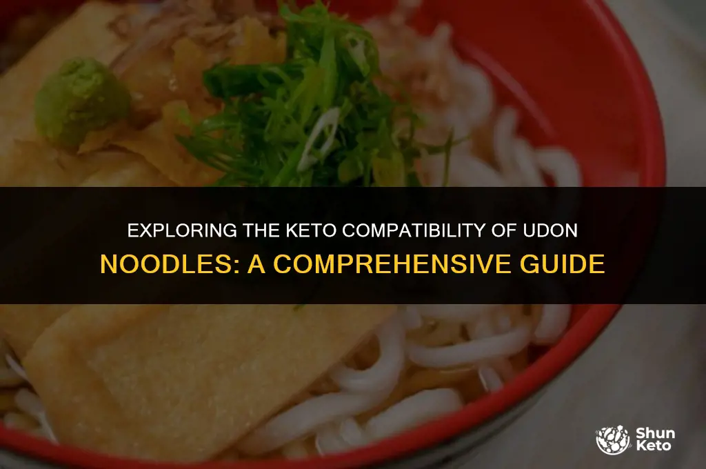 are udon noodles keto friendly