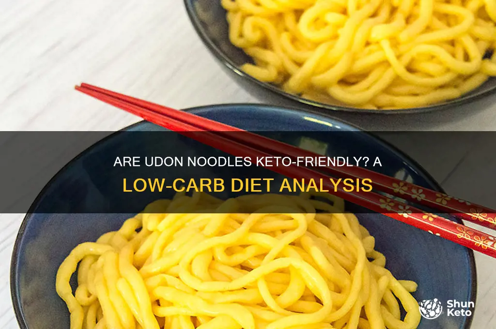 are udon noodles keto