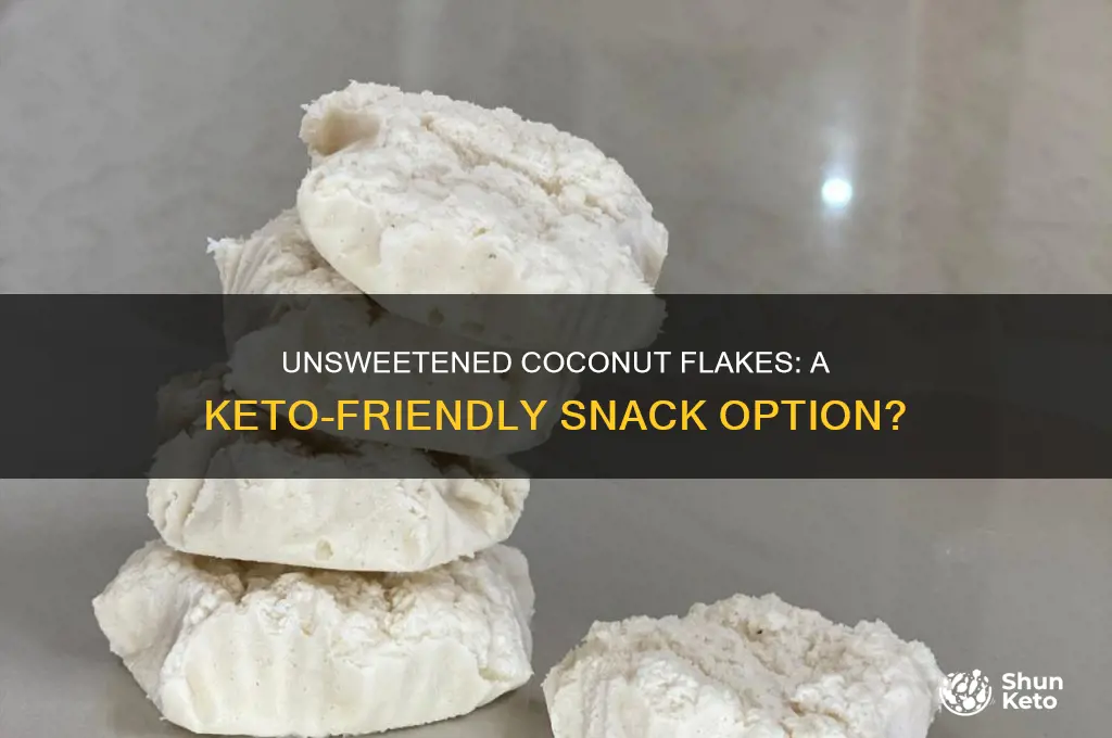 are unsweetened coconut flakes keto