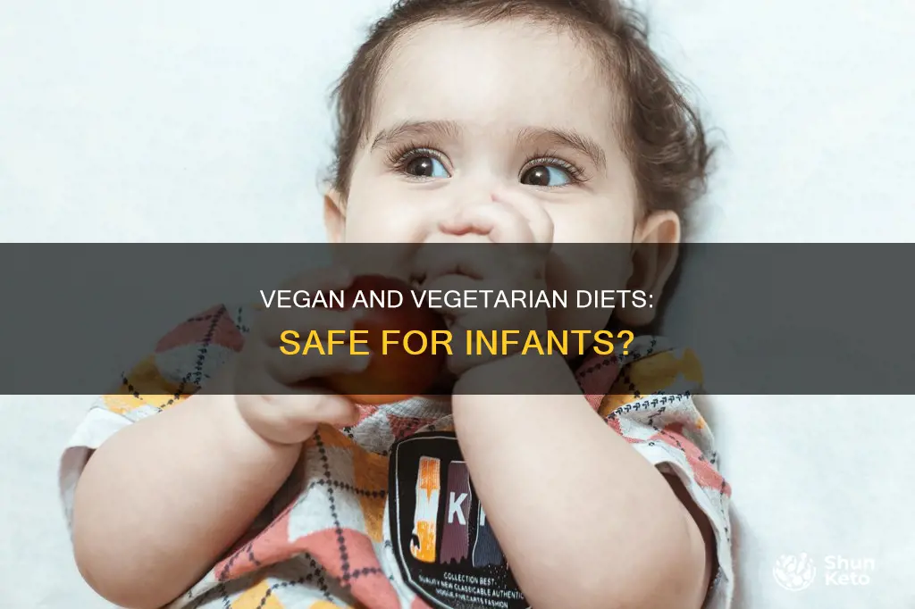 are vegan and vegetarian diet safe for infants