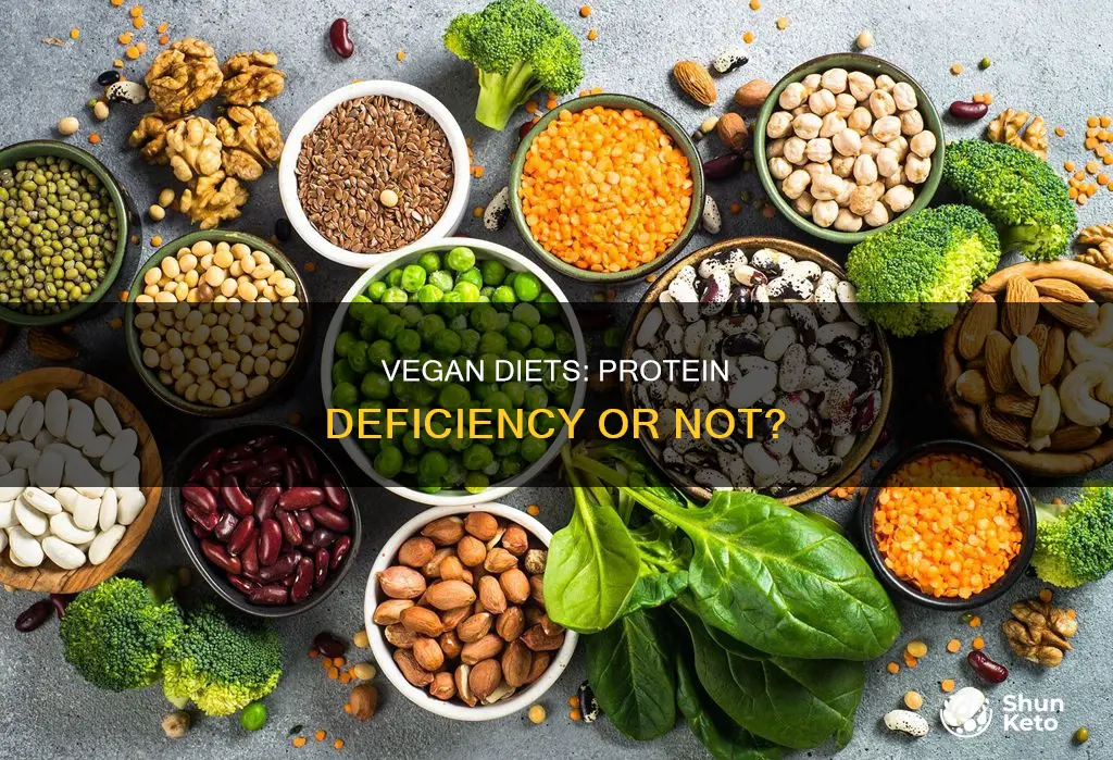 are vegan diets a protien problem