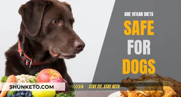 Vegan Diets for Dogs: Safe or Not?