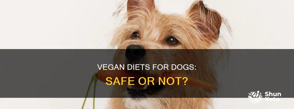 are vegan diets safe for dogs