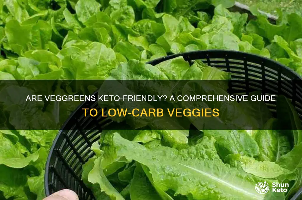 are vegegreens keto