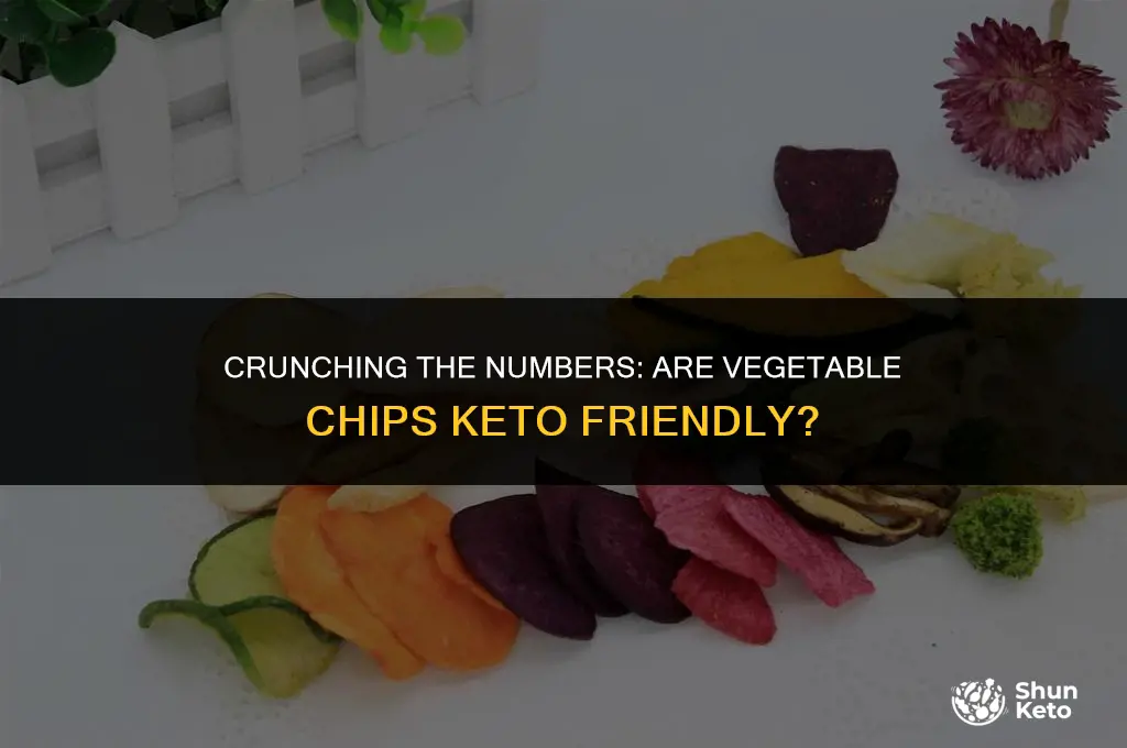 are vegetable chips keto friendly