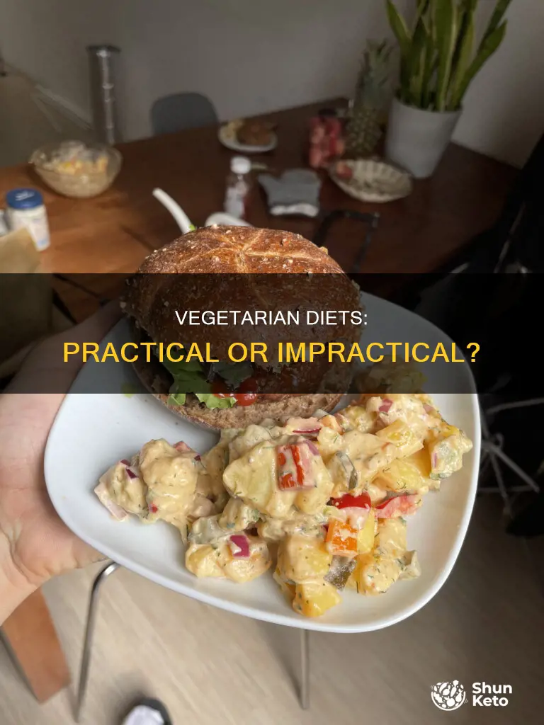 are vegetarian diets practical