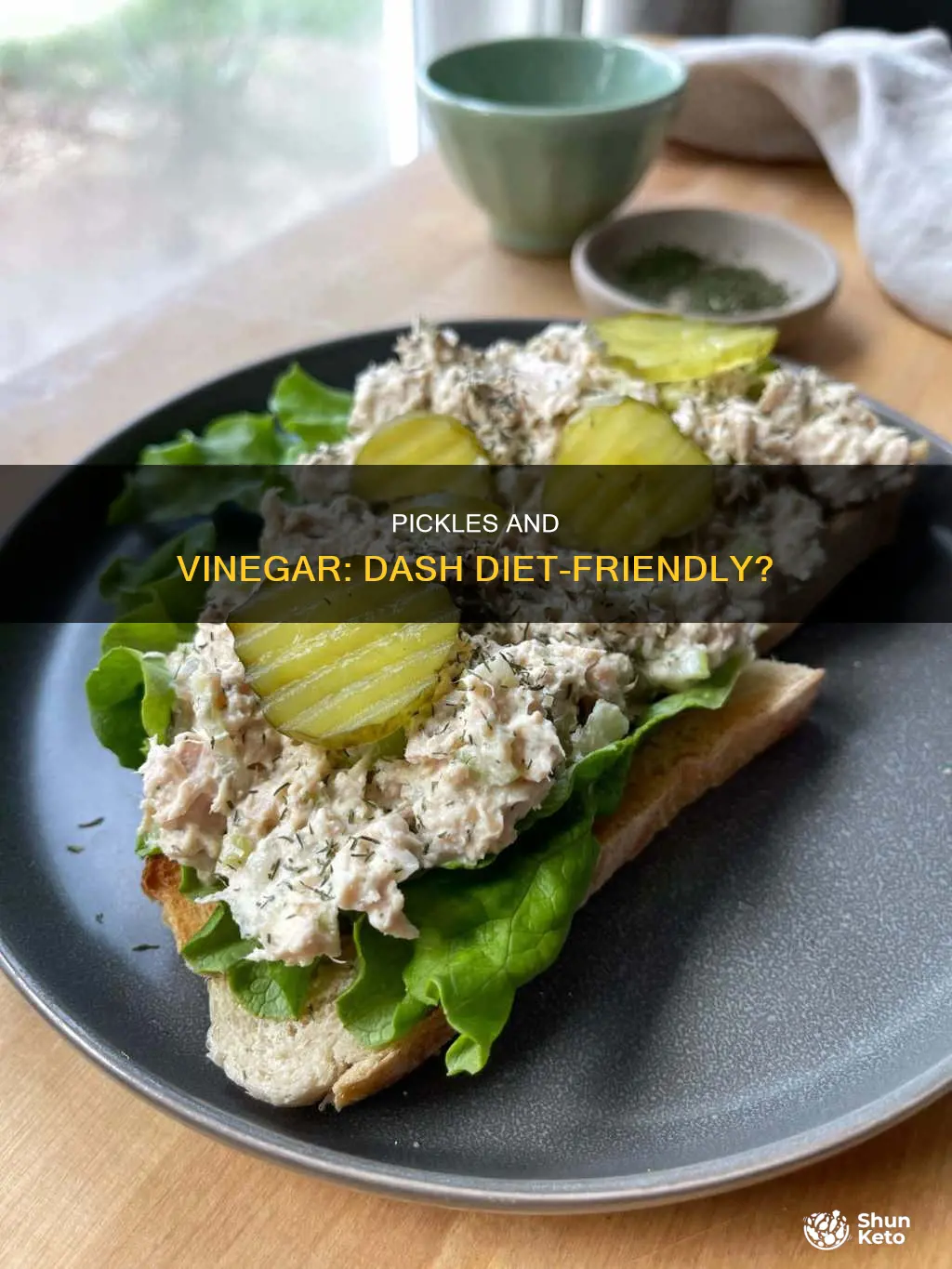 are vinegar and pickles allowed on dash diet
