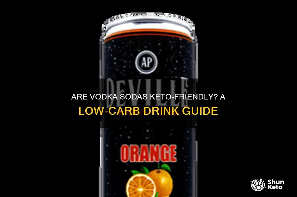 are vodka sodas keto