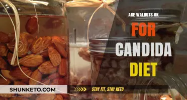 Walnuts and Candida Diet: A Healthy Match?