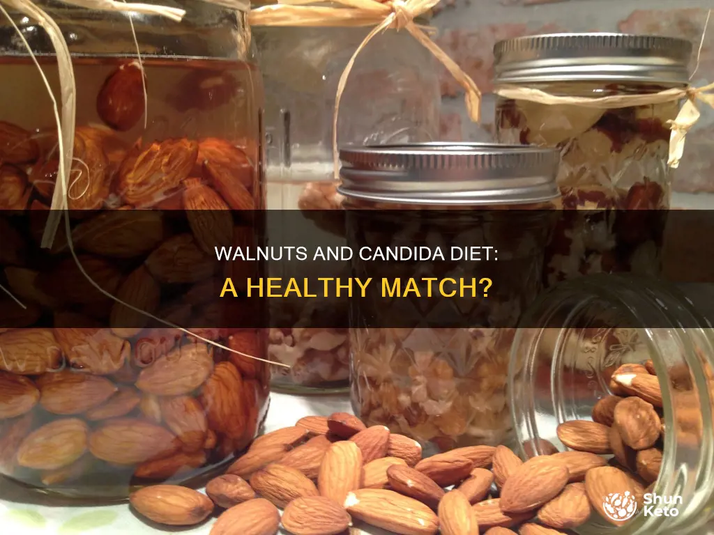 are walnuts ok for candida diet