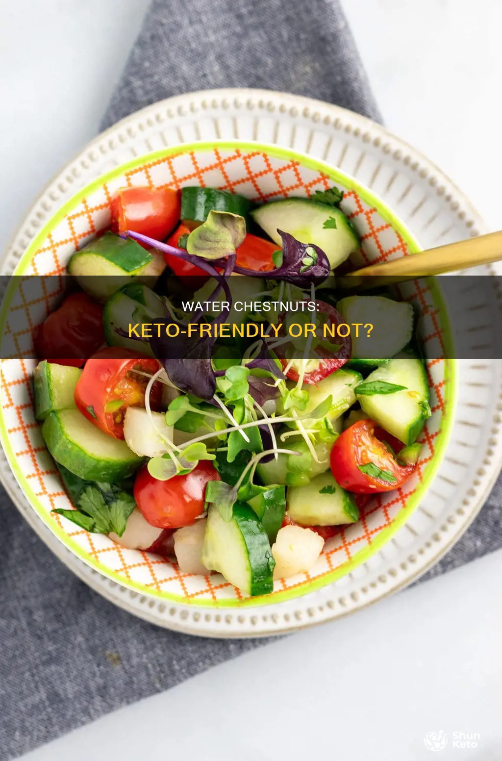 are water chestnuts goof for a ketogenic diet