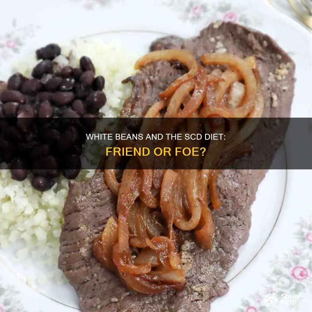 are white beans ok on scd diet