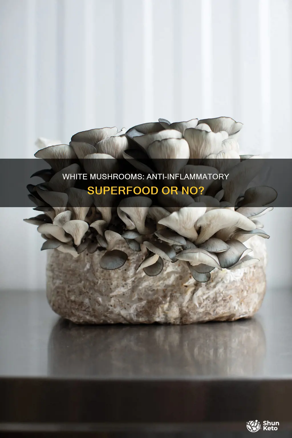 are white mushrooms ok for anti inflammatory diet