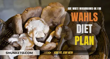 Mushroom Mystery: Are White Mushrooms Wahls-Friendly?